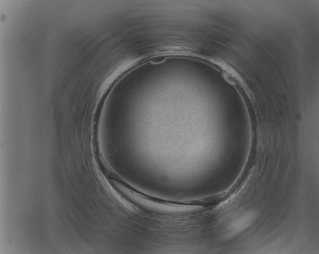 X0000066941333200603311407