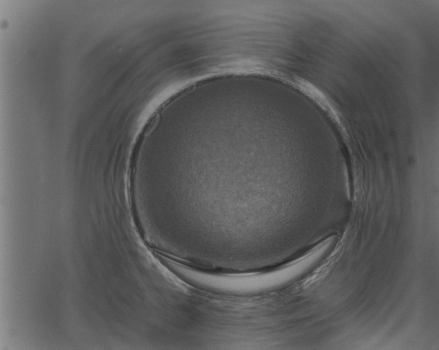 X0000066941334200603311407