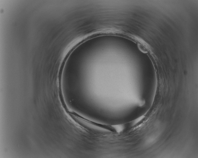 X0000066941335200603311407