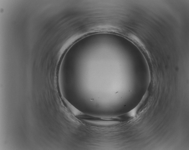 X0000066941336200603311407