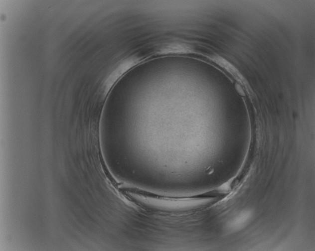 X0000066941337200603311407