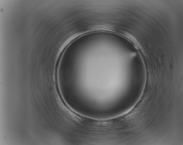 X0000066941339200603311407