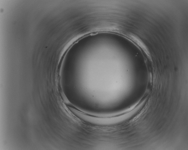 X0000066941340200603311407