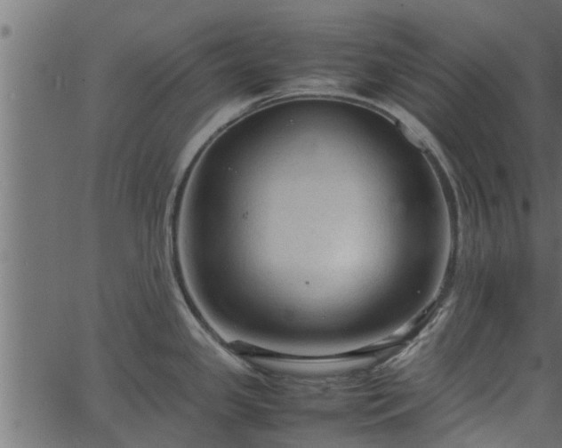 X0000066941341200603311407