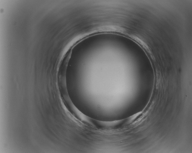 X0000066941342200603311407