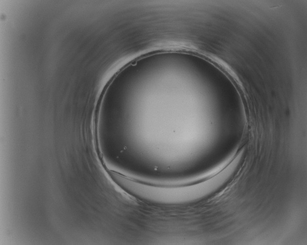 X0000066941343200603311407