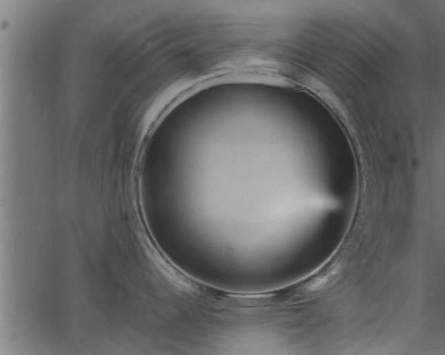 X0000066941344200603311407