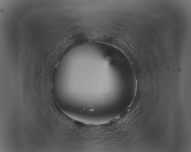 X0000066941345200603311407