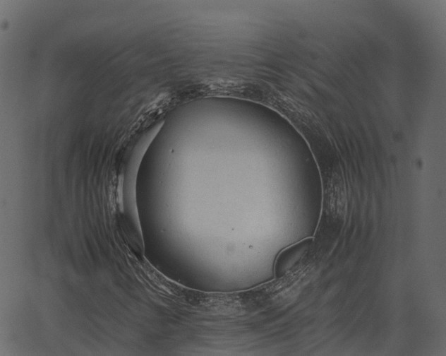 X0000066941346200603311407