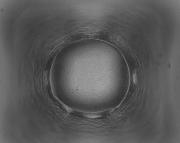 X0000066941347200603311407