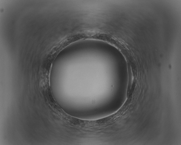 X0000066941349200603311407