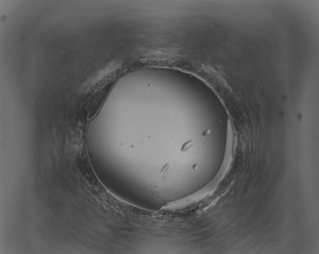 X0000066941350200603311407