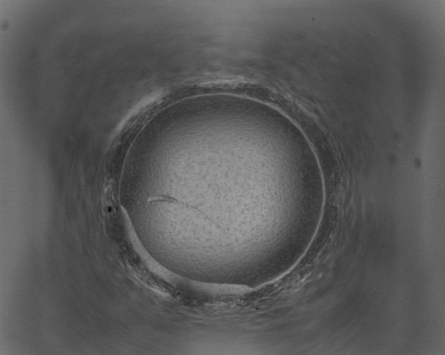 X0000066941351200603311407