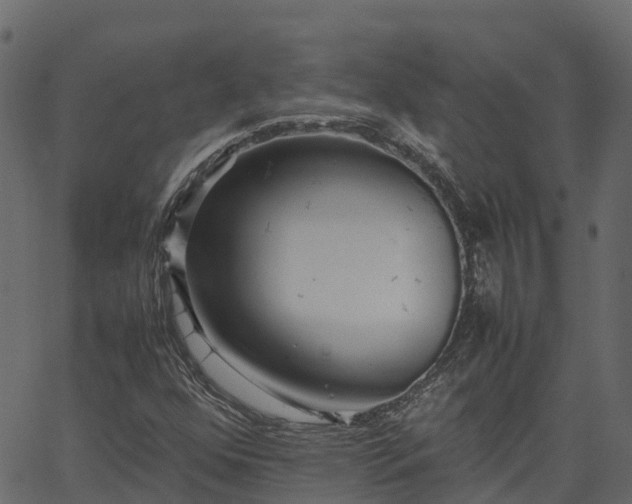 X0000066941352200603311407