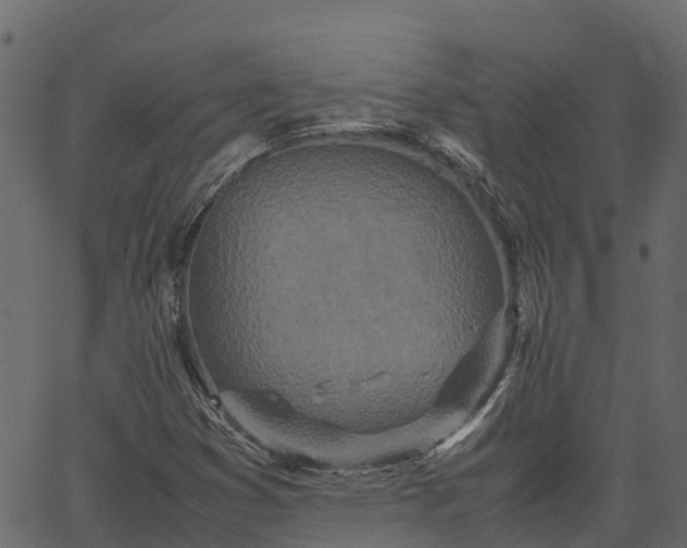 X0000066941353200603311407