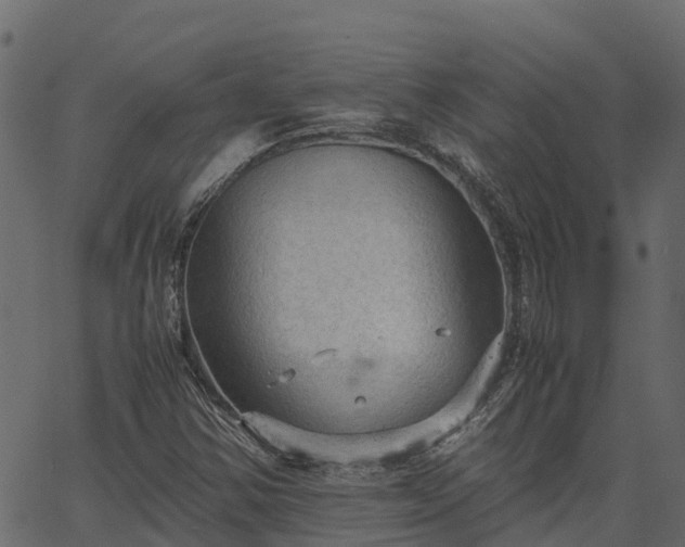 X0000066941354200603311407