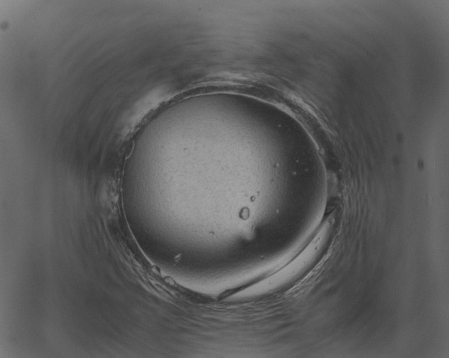 X0000066941355200603311406