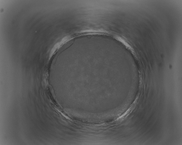 X0000066941357200603311406