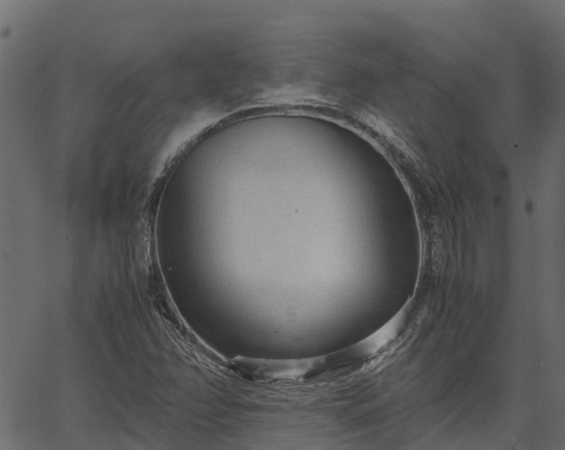 X0000066941358200603311406