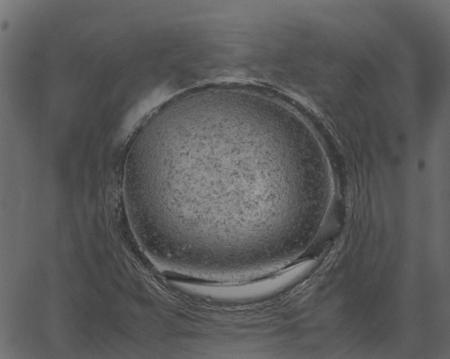 X0000066941359200603311406