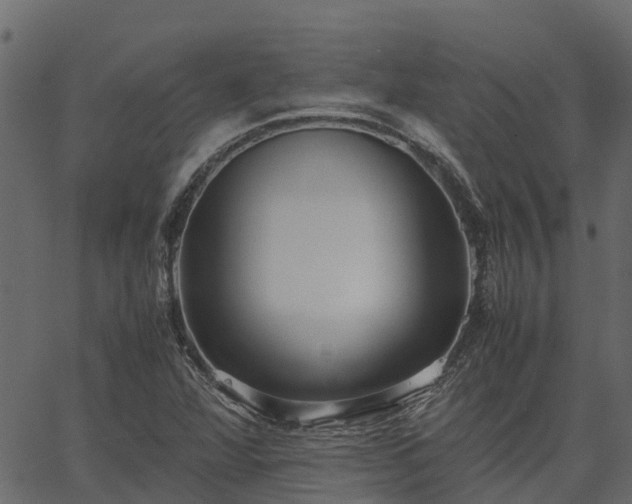 X0000066941360200603311406