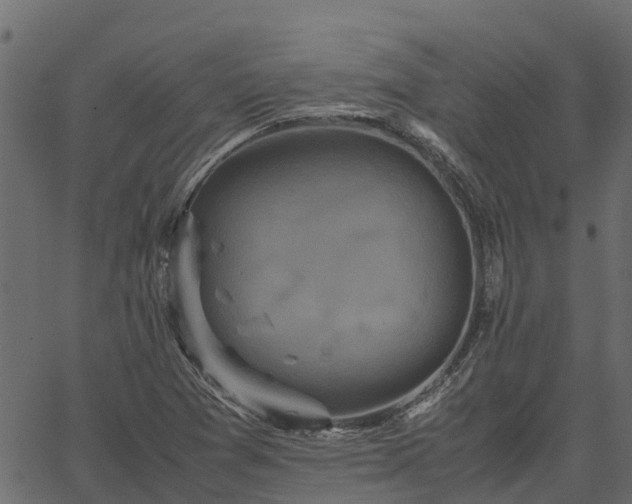 X0000066941361200603311406