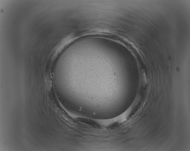 X0000066941363200603311406