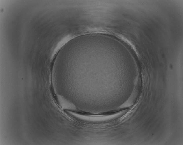 X0000066941365200603311406