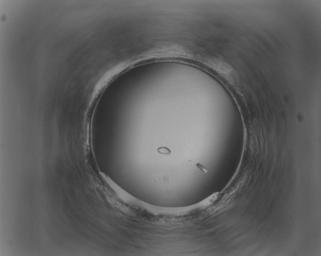 X0000066941366200603311406