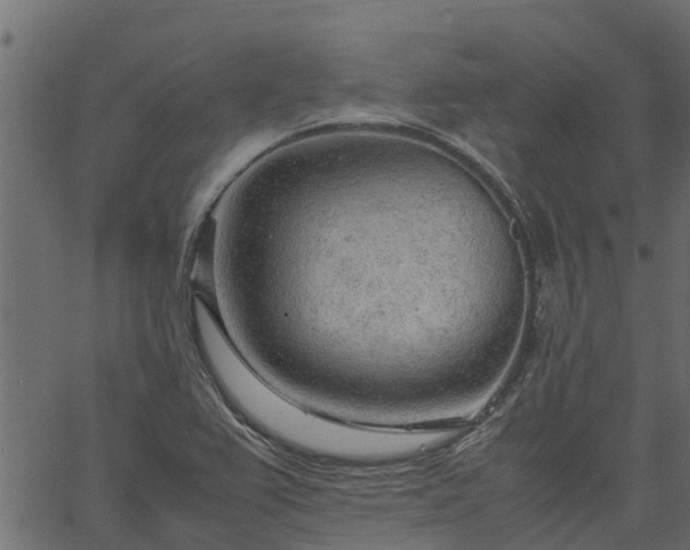 X0000066941367200603311406