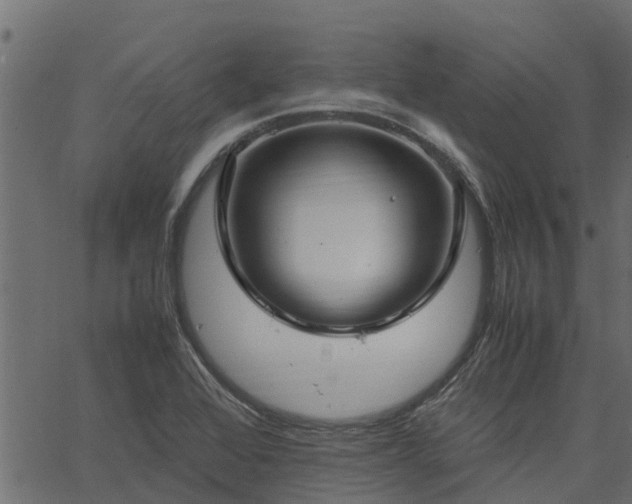 X0000066941368200603311406