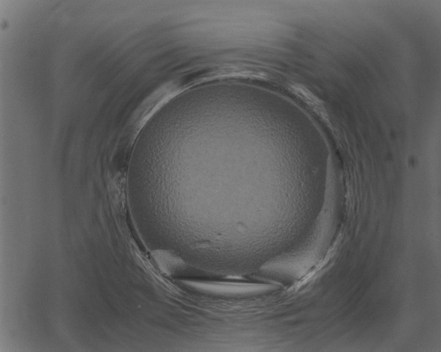 X0000066941369200603311406