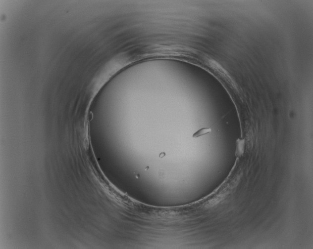 X0000066941370200603311406