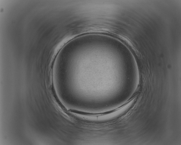 X0000066941371200603311406