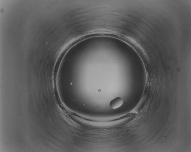 X0000066941372200603311406