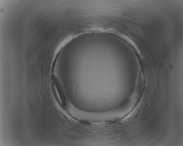 X0000066941373200603311406