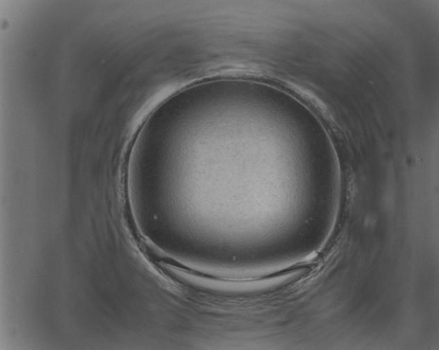 X0000066941375200603311406