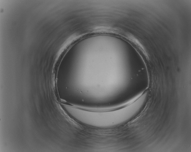 X0000066941376200603311406