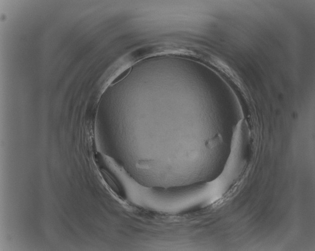 X0000066941377200603311406