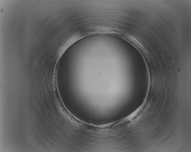 X0000066941378200603311406