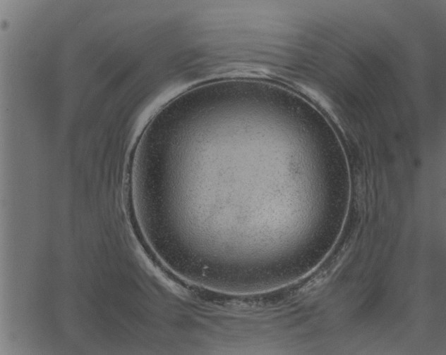 X0000066941379200603311406