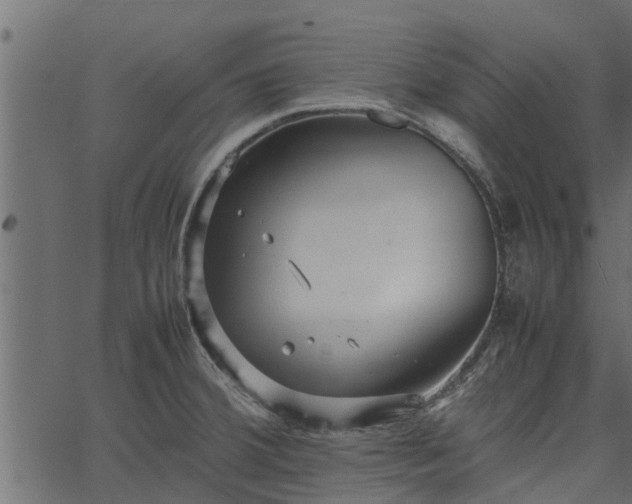 X0000066941380200603311406