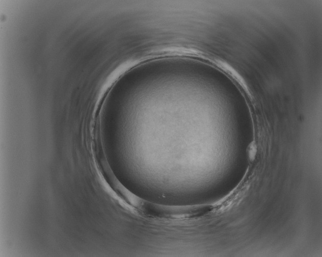 X0000066941381200603311406