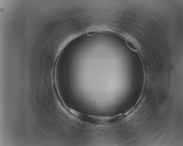 X0000066941382200603311406