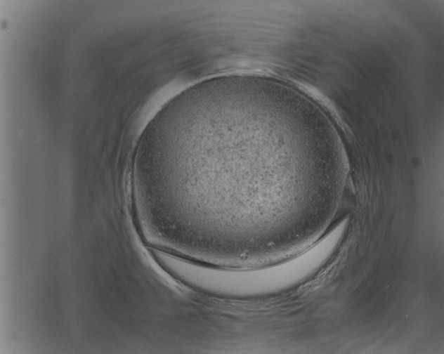 X0000066941383200603311406