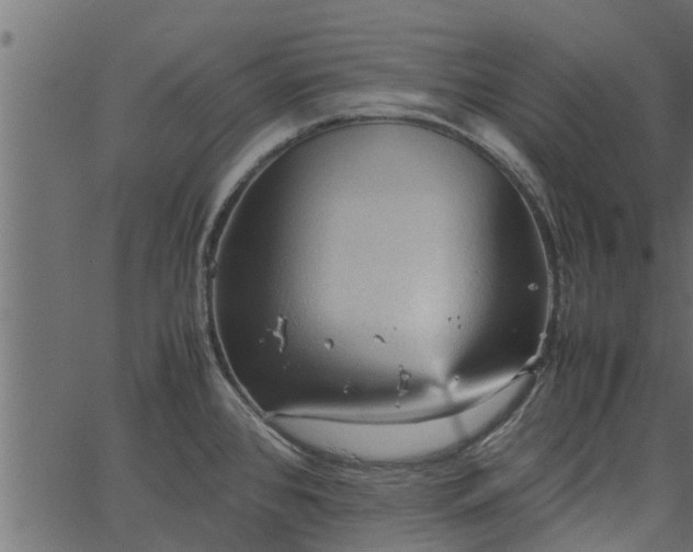 X0000066941384200603311406