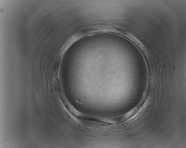 X0000066941385200603311406