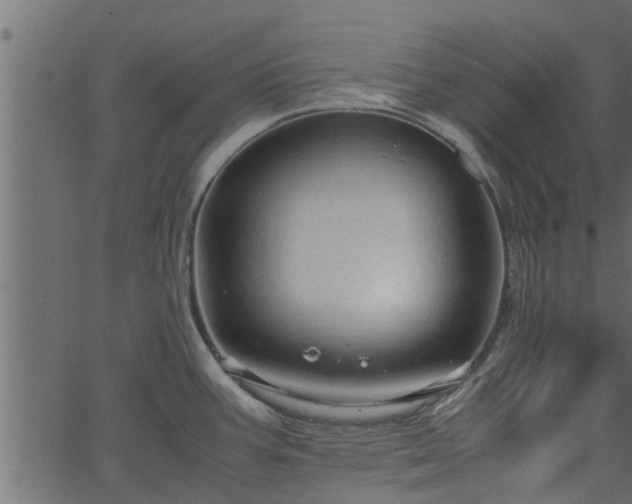 X0000066941387200603311406