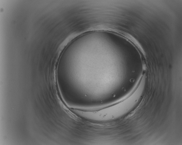 X0000066941388200603311406