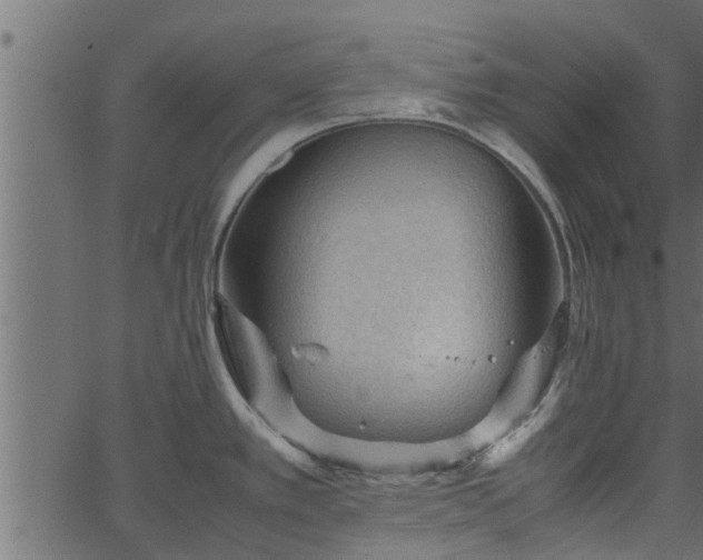 X0000066941389200603311406